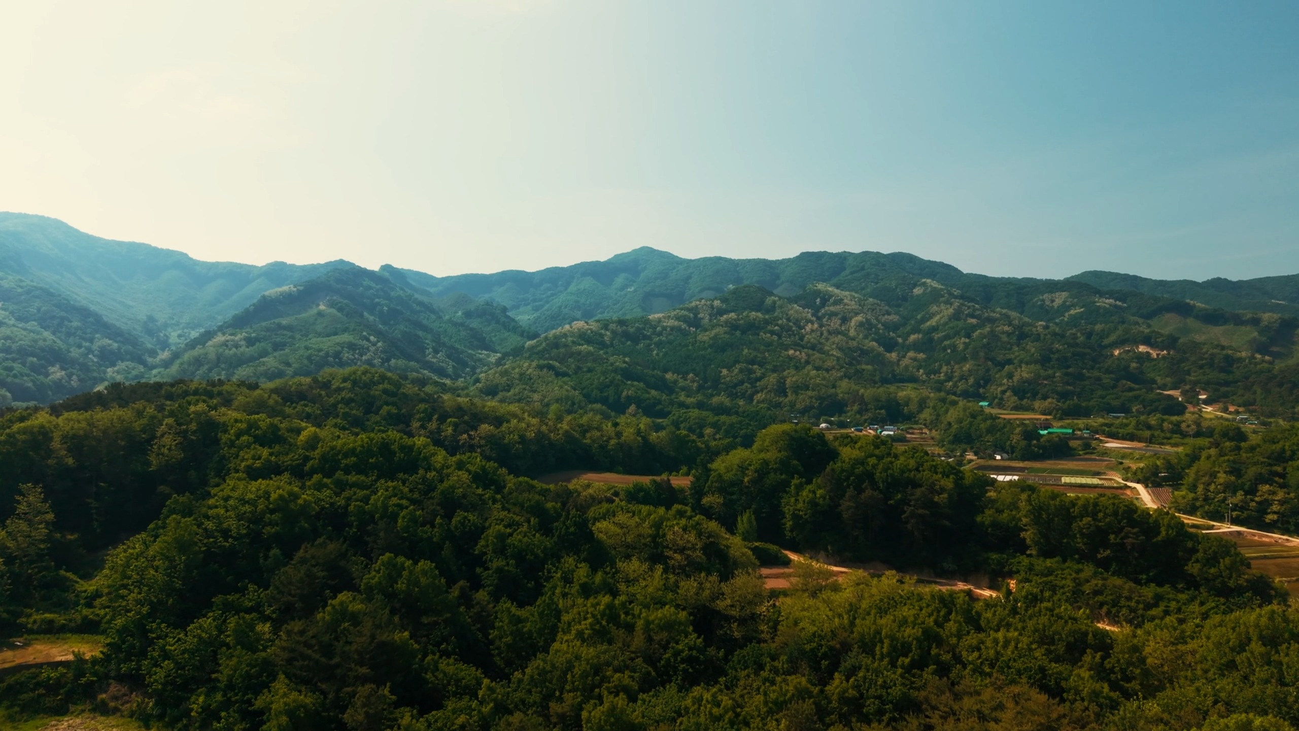 Nature 2